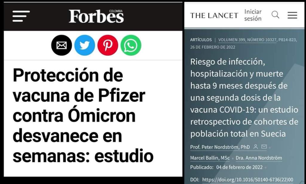 ESTUDIOS RECIENTES …&nbsp;!!!